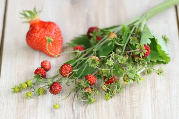 Fresas silvestres — Foto de Stock