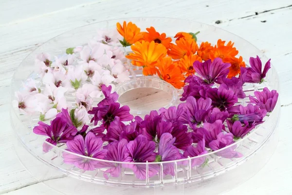 Bloemen Van Wilde Kaasjeskruid Lat Malva Sylvestris Goudsbloem Calendula Officinalis — Stockfoto