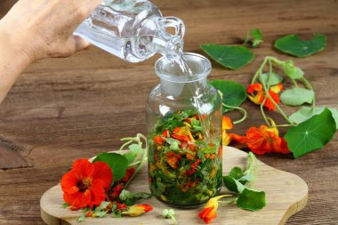 Tropaeolum majus 'tan filtreleme tentürü. Nasturtium ya da Indian Cress olarak da bilinir. Bütün bitki doğranmış ve alkolle kaplanmış. Tentür tıbbi kullanım için iyidir..