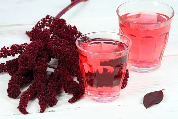 Kräutertee Aus Blut Amaranth Amaranthus Cruentus Tee Für Einzigartigen Geschmack — Stockfoto