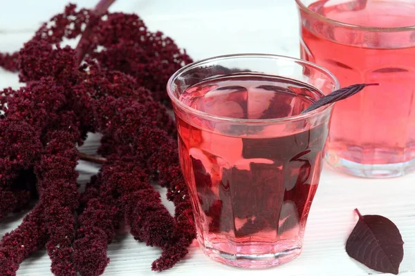 Kräutertee Aus Blut Amaranth Amaranthus Cruentus Tee Für Einzigartigen Geschmack — Stockfoto