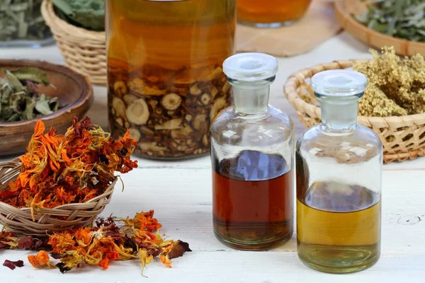 Tinturas Ervas Variadas Flores Ervas Medicinais Raízes Angelica Sinensis Flores — Fotografia de Stock