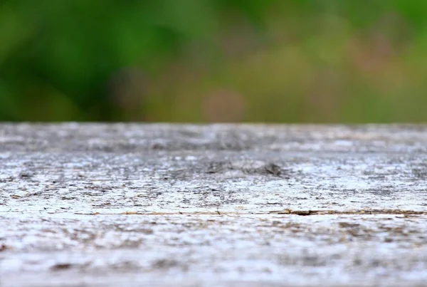 Leerer Rustikaler Holztisch Garten Natürlicher Hintergrund Und Kopierraum Weicher Fokus — Stockfoto