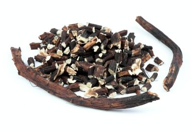 Çin dong quai kökleri, Angelica sinensis, geleneksel bitkisel ilaçlar. Kökler tentür yapmak için hazırlandı, beyaz arkaplan.