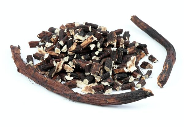 Roots of chinese dong quai, Angelica sinensis, traditional herbal medicine. Roots prepared for making tincture, white background.