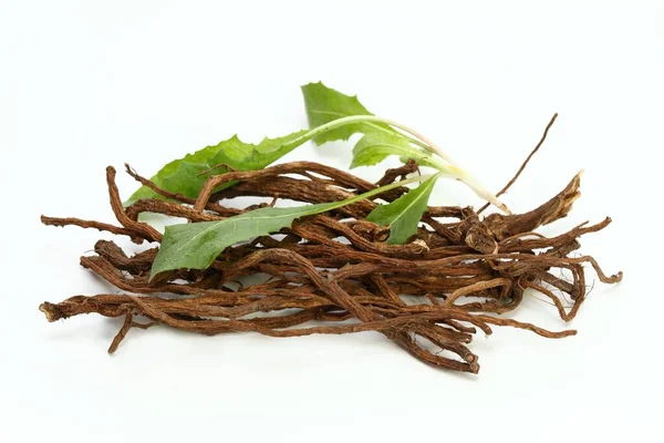 Organic Dried Roots Dandelion Taraxacum Officinale Traditional Herbal Medicine Roots — Zdjęcie stockowe