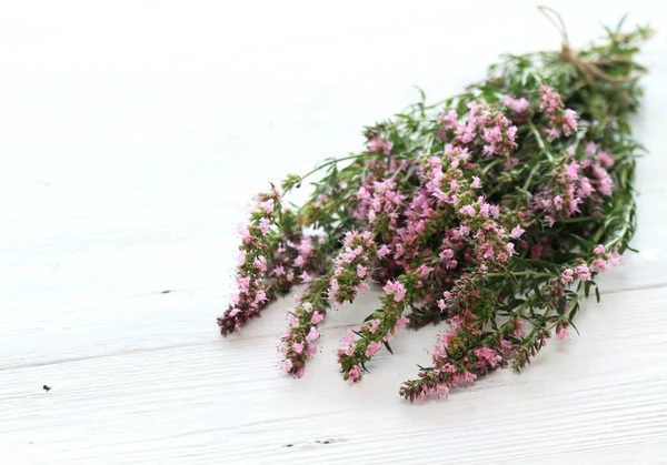 Bunch Fresh Pink Hyssop Lat Hyssopus Officinalis Beautiful Hyssop Flowers — Stock Photo, Image