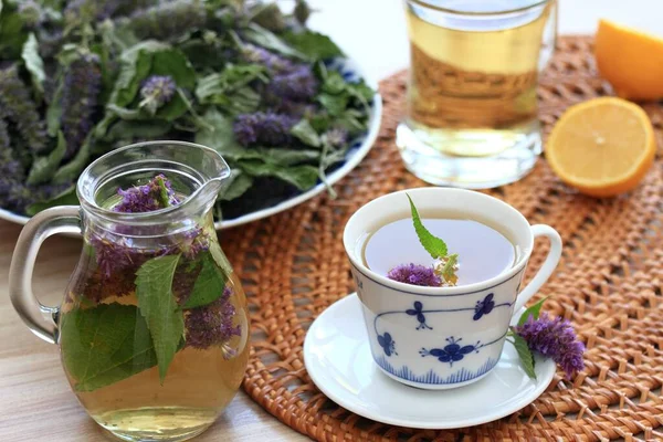 Herbal tea from medicinal herb Agastache foeniculum, also called  giant hyssop or Indian mint.  Aromatic agastache tea is good for the stomach and lungs.
