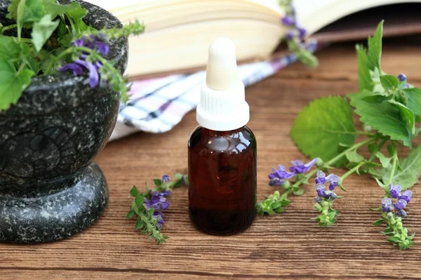 Tinktur Från Scutellaria Lateriflora Kallad Blue Skullcap Eller Galen Hund — Stockfoto