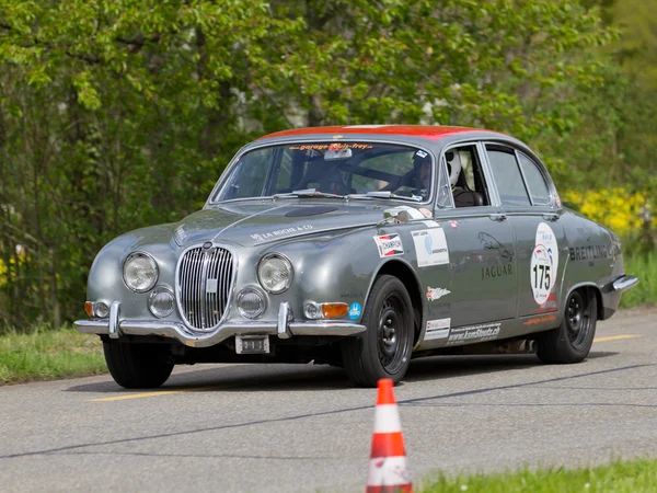 Vintage race touring car Jaguar 3.8 S с 1965 года — стоковое фото