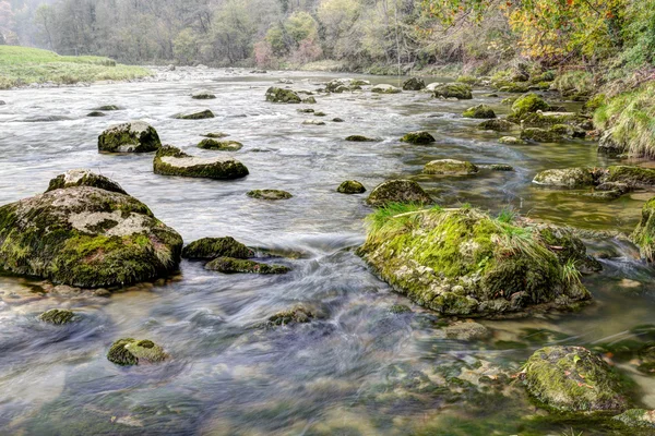 Autumn forest stream — Stock Photo, Image