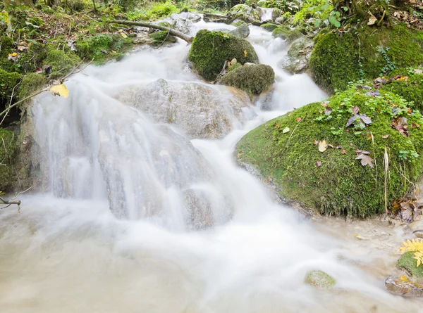 Autumn forest stream — Stock Photo, Image