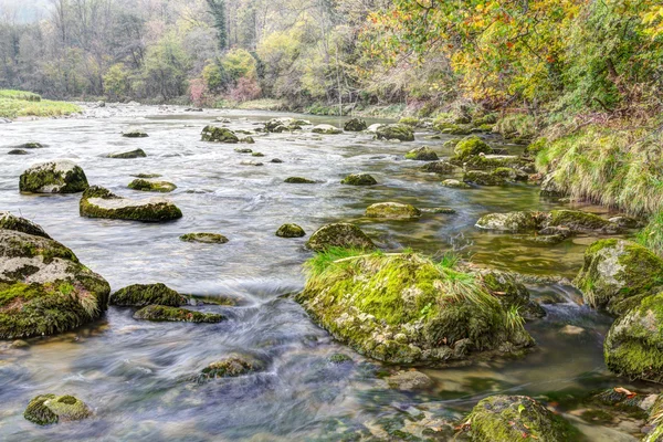 秋季森林溪流 — 图库照片