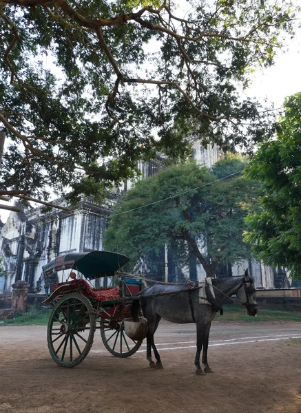 Carrozza a cavallo in Birmania Fotografia Stock