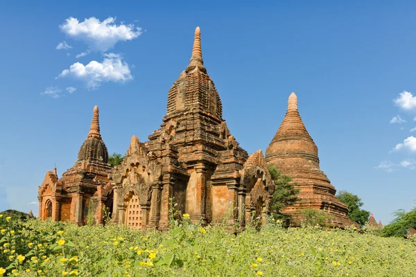 Tempio di Bagan, Birmania Immagini Stock Royalty Free