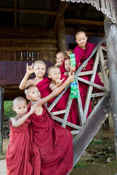 Group of buddhist monk boys poses Royalty Free Stock Images