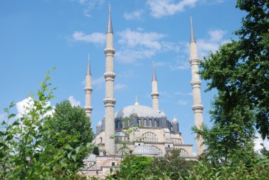 Türkiye 'nin Edirne kentindeki Selimiye Camii