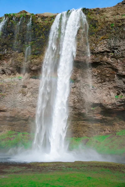 Seljalandsfoss, Ісландія Стокове Зображення