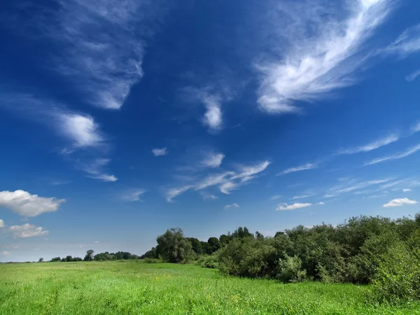 夏の深い青の空と緑の草原 — ストック写真