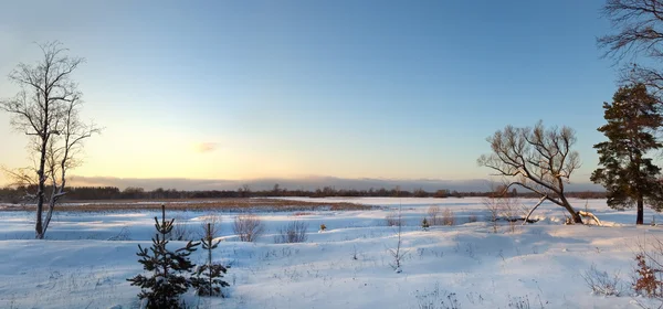 일몰에 눈 겨울 필드의 파노라마 보기 — 스톡 사진