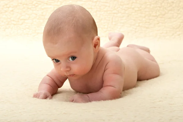 Kaksi kuukautta vauva pitää hänen päänsä — kuvapankkivalokuva
