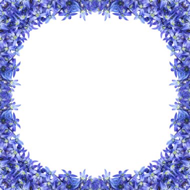 Mavi çiçek çerçeve