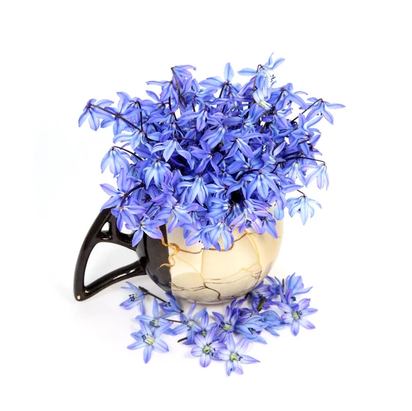 Flores azuis no vaso — Fotografia de Stock