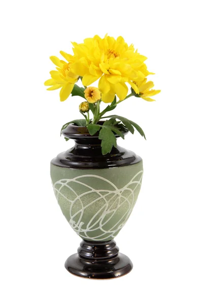 Yellow chrysanthemum in the vase — Stock Photo, Image