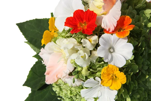 Buquê de flores de verão a cores — Fotografia de Stock