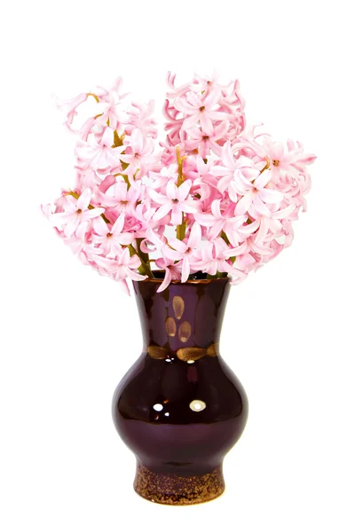 束风信子花瓶里的花 — 图库照片