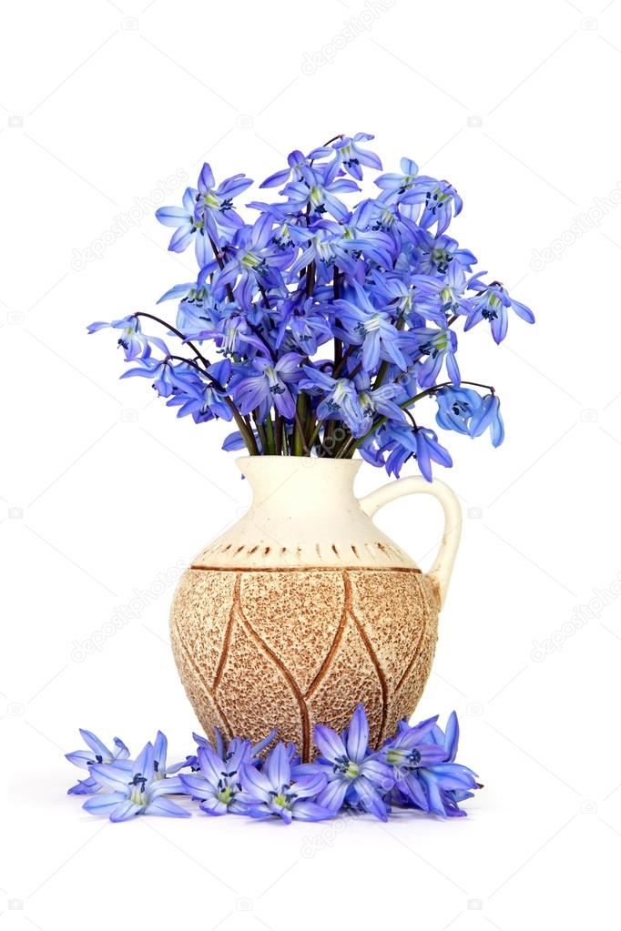 Blue flowers in the vase
