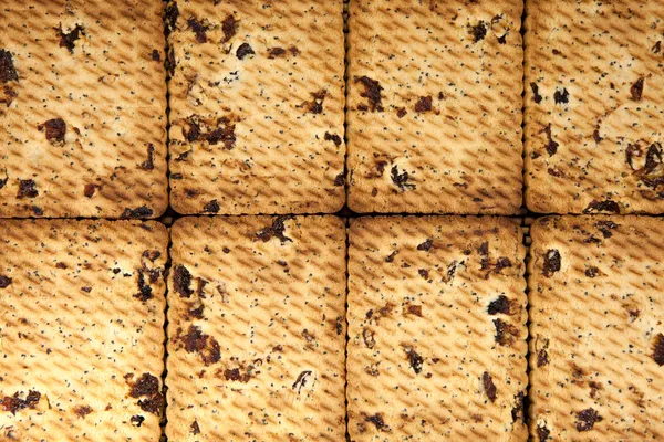 Close up de deliciosos bolinhos de passas fundo — Fotografia de Stock