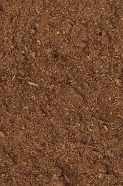 turba çim makro closeup büyük detaylı kahverengi humus organik toprak