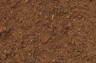 turba çim makro closeup büyük detaylı kahverengi humus organik toprak arka plan deseni