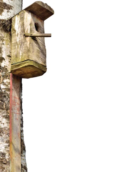 Деревянный скворцовый птичий домик, большой ствол березы, изолированный детальный вертикальный крупный план — стоковое фото