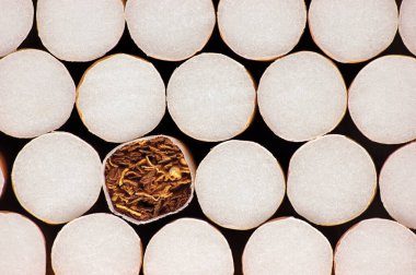 Yığılmış Filtre Sigaraları, Makro Kapatma Şablonu, Sigara Bağımlılığı Geniş Ayrıntılı Tütsülenmiş Çoklu Sigara Yığını Arkaplanı