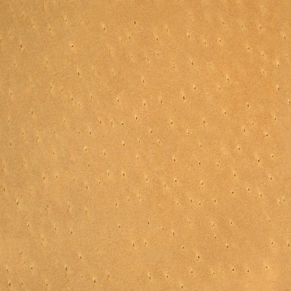 Genuine All Natural Beige Tan Leather Grained Texture Swatch Background — 스톡 사진