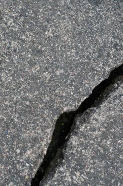 Old aged weathered cracked grey black tarmac texture pattern, large detailed damaged textured asphalt grungy background flat lay, tiny green leaves, shoots, sprouts, vertical rough grained broken pattern macro closeup grunge copy space