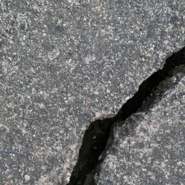 Old aged weathered cracked grey black tarmac texture pattern, large detailed damaged textured asphalt grungy background flat lay, tiny green leaves, shoots, sprouts, vertical rough grained broken pattern macro closeup grunge copy space