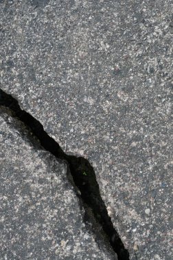 Old aged weathered cracked grey black tarmac texture pattern, large detailed damaged textured asphalt grungy background flat lay, tiny green leaves, shoots, sprouts, vertical rough grained broken pattern macro closeup grunge copy space