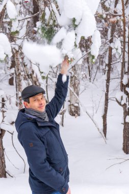 Orta yaşlı bir adamın portresi kar yağdıktan sonra ağaçların dallarında kar sallarken eğleniyor. Kış tatili, aktif tatil, kırsal konsepte hafta sonu gezisi..