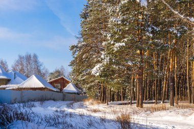 Güneşli bir günde, karla kaplı çam ağaçları ve orman kenarındaki kır evlerinin çatılarıyla güzel bir kış manzarası. Kış kozalaklı orman ve kar yağdıktan sonra köy. Harika kuzey doğası.