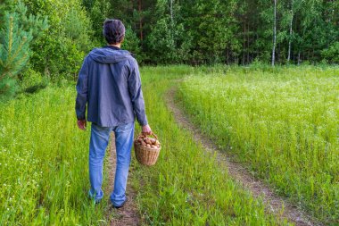 Man walking with basket of edible porcini mushrooms in hands against summer landscape of meadow and forest edge. Fresh pine boletus or cep mushrooms. Hobbies, silent hunting concept. Staycation.
