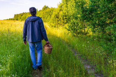 Man walking with basket of edible porcini mushrooms in hands against summer landscape of meadow and forest edge. Fresh pine boletus or cep mushrooms. Hobbies, silent hunting concept. Staycation.