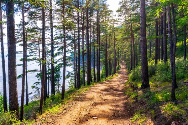 Μεγάλο Μονοπάτι Baikal Δημοφιλή Διαδρομή Κατά Μήκος Της Λίμνης Baikal — Φωτογραφία Αρχείου