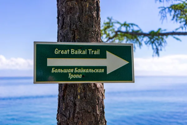 Great Baikal Trail Text English Russian Direction Pointer Tree Trunk Stockfoto