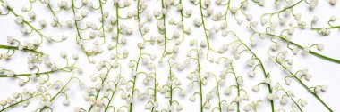 Beautiful fresh lilies of the valley flowers on white background. Natural floral backdrop with space for text. Luxury greeting card mockup. Wedding, easter, springtime concept. Banner, wide format.