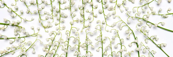 Beautiful fresh lilies of the valley flowers on white background. Natural floral backdrop with space for text. Luxury greeting card mockup. Wedding, easter, springtime concept. Banner, wide format.