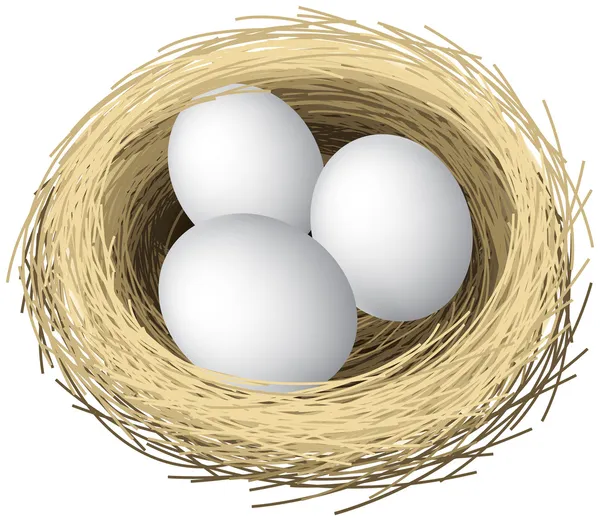 Ovos de ninho — Vetor de Stock