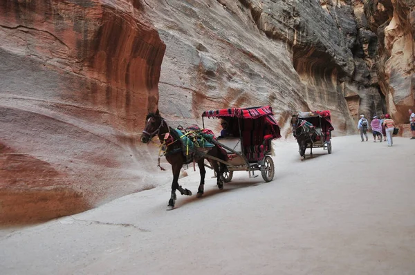 Carriage Driving Path Cliffs Petra Jordan — Stockfoto